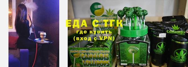 индика Володарск
