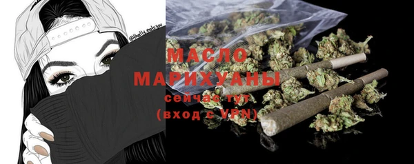 индика Володарск