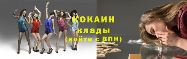 индика Володарск