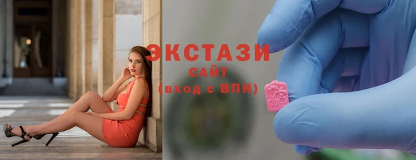 индика Володарск