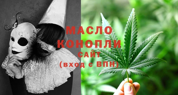 индика Володарск