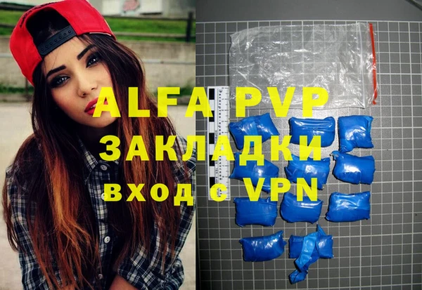 индика Володарск