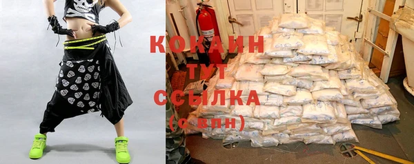 индика Володарск