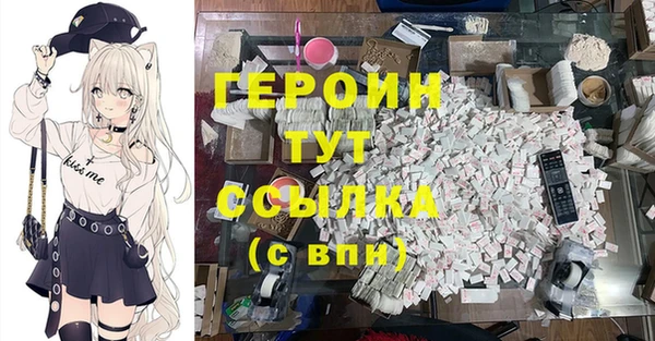 индика Володарск