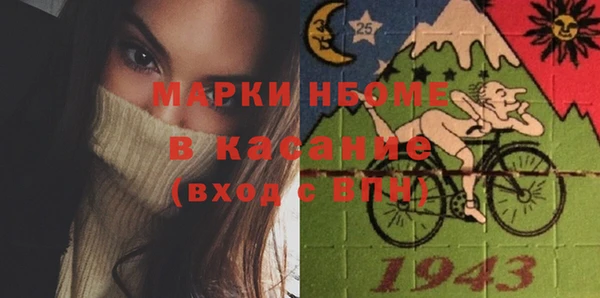 индика Володарск