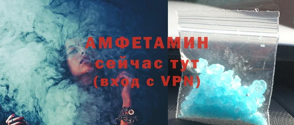 индика Володарск