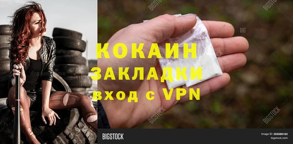 индика Володарск
